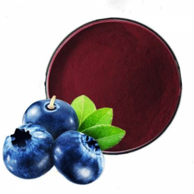 Manufacturer Provides Straightly Plant Extract 25%anthocyanins Bilberry Extract