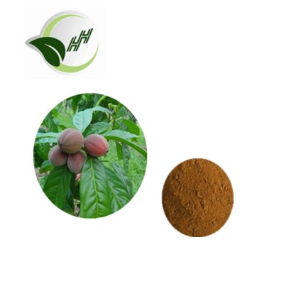 Hot sale 100% nature blushwood berry extract